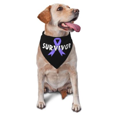 Stomach Cancer Survivor Dog Scarf Pet Bandana Cat Pet Bibs