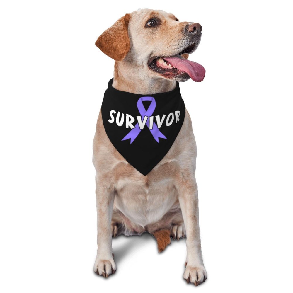 Stomach Cancer Survivor Dog Scarf Pet Bandana Cat Pet Bibs