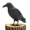 NineFit Basics Crow Decoy,Simulation Crow Statue, Fake Black Crow Decoys with Feet Stake, Hunting Bait Decoys Tool for Outdoor Garden Decoration Garden Decoration Hunting Bait, 1pcs, SRKWP0JV45VTOU98PLAQ view 1