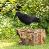 NineFit Basics Crow Decoy,Simulation Crow Statue, Fake Black Crow Decoys with Feet Stake, Hunting Bait Decoys Tool for Outdoor Garden Decoration Garden Decoration Hunting Bait, 1pcs, SRKWP0JV45VTOU98PLAQ view 2