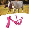 Calf Halter, Rope Halters for Horses Wearable Weaving Horse Halter Multi Knots Adjustable Livestock Cattle Rope Halter Horse Halter for Training Daily (), view 2