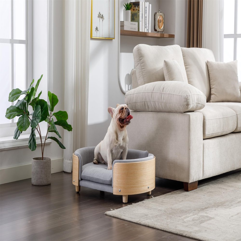 Scandinavian Style Elevated Dog Bed Pet Sofa with Solid Wood Legs and Bent Wood Back, Velvet Cushion,Mid Size Light Grey