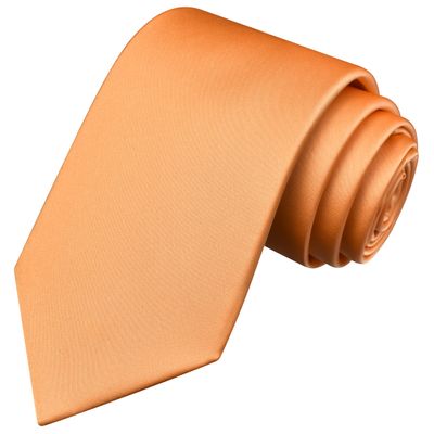 Branduce Light Orange Tie Solid Satin Ties for Men Silk Blend Necktie for Wedding Business (TA11-17)