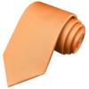 Branduce Light Orange Tie Solid Satin Ties for Men Silk Blend Necktie for Wedding Business (TA11-17) view 1