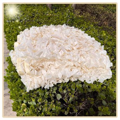 Suwooy Reinforced Camouflage Netting,Camouflage Shade Net Beige,Camping,Hunting,Army,Party Decoration,Military Camo Netting 23m 24m 33m 35m 44m 45m 46m 55m,Car Cover,Beige-2x6m(6.6 * 19.7ft)