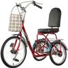 HAOKAZLBR Adult Tricycle, Adult Trikes for Shopping Travel Tricycle for Adult, 1 Speed 3 Wheeled Recumbent Bicycle with Front Rear Large Basket Seniors for Men Women Picnics & Shopping view 1