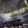 LTSRLL Military Camouflage Net Hunting Camo Mesh Netting Party Decoration Sun Shade Sail Polyester Fabric Pergola Shade Cover(Size:0.5x3m/1.6x10ft) view 2