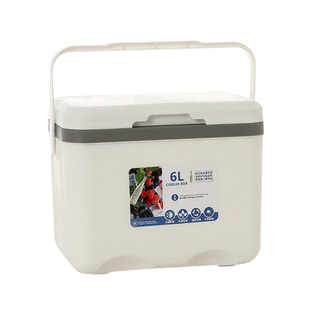 Cooler Box Ice Box 6L Personal with Handle for Freeze/Hot Food Ice Chest Small Insulated Box for Beach Camping Stall Outdoor, White