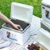 Cooler Box Ice Box 6L Personal with Handle for Freeze/Hot Food Ice Chest Small Insulated Box for Beach Camping Stall Outdoor, White view 3