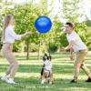 GCQJOQ 3 Pcs 9 Inch Inflatable Bouncy Balls with Hand Air Pump for Indoor Outdoor Play Balls (Blue) view 4