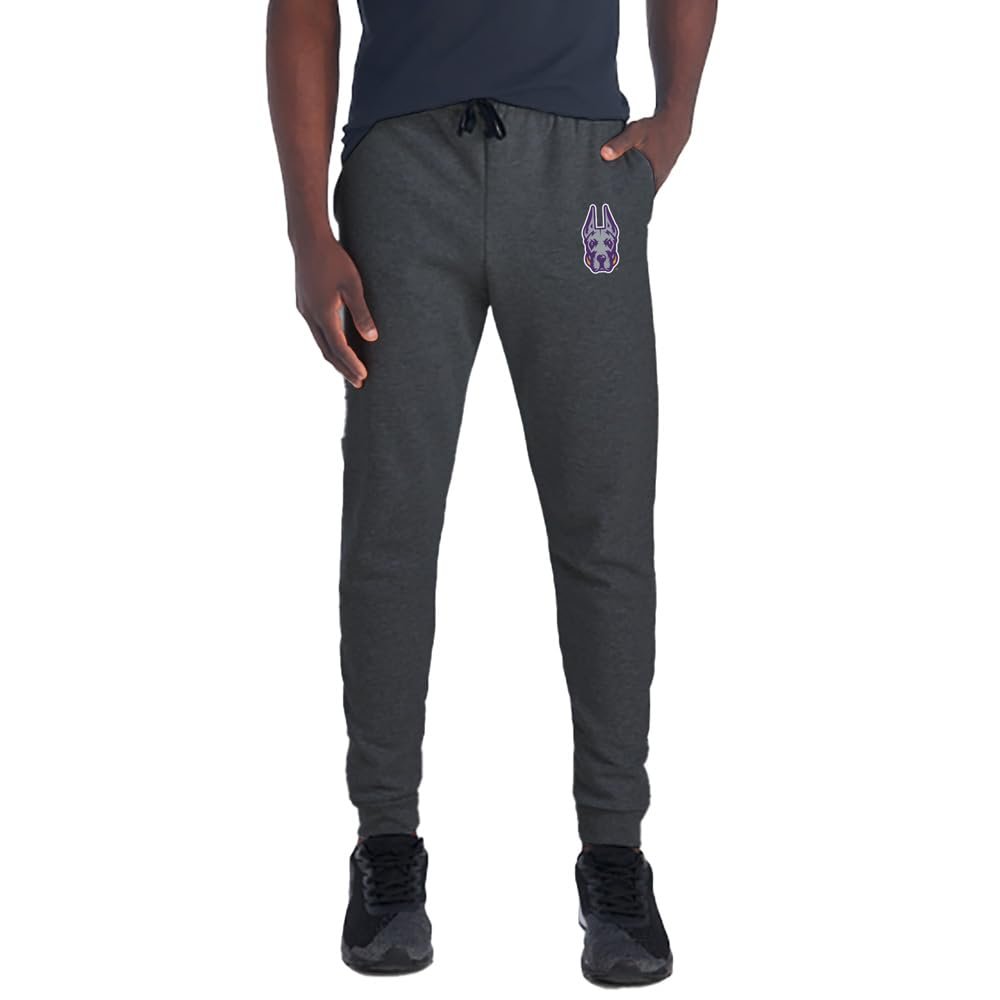 Campus Lab University of Albany Primary Logo Hip Print Unisex Jogger Sweatpants with Pockets for Men and Women, Charcoal, Medium