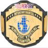 NineFit Basics Intercontinental World Heavyweight Wrestling Championship Title Belt Replica, Universal Championship Title Belt - Adult Size, Black view 1