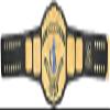 NineFit Basics Intercontinental World Heavyweight Wrestling Championship Title Belt Replica, Universal Championship Title Belt - Adult Size, Black view 2