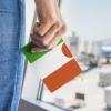Niger Flag Passport Holder Wallet Case Cover PU Leather Passport Card Holder view 3