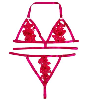 Avidlove Lingerie Sets for Women Sexy 2 Piece Bra Panty Set Appliques Cut Out Outfits for Women Rose Red
