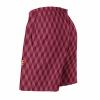 2024 Belgium Shorts Custom Soccer Beach Trunks,Belgium Fans Gifts Personalized Name & Number,Men Youth,S-3XL view 3