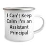 Funny Assistant Principal Gifts for Father's Day - 12oz Camping Mug - I Can't Keep Calm I'm An Assistant Principal view 2