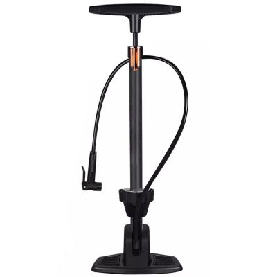 beisup Bike Pump with High Pressure & 16 bar/230 Psi Gauge - Floor Bicycle Pump Compatible with Presta and Schrader Valve - Bike Tire Pump for Road Bike,MTB,Hybrid,Balls,Titanium