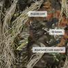EAmber Ghillie Suit Gilly Hunting Suits Pants 3D Leaf Camo Camouflage Coveralls Youth Adult Lightweight Clothes for (Tree Leafy Forest, Height 4.2-4.7 Ft) view 4
