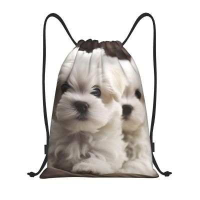 Dwrepo Cute Maltese Puppy Drawstring Bags for Women Men Travel Backpack Gym Bag Waterproof Draw String Back Bag, Small