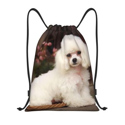 Dwrepo French Poodle Drawstring Bags for Women Men Travel Backpack Gym Bag Waterproof Draw String Back Bag, Small