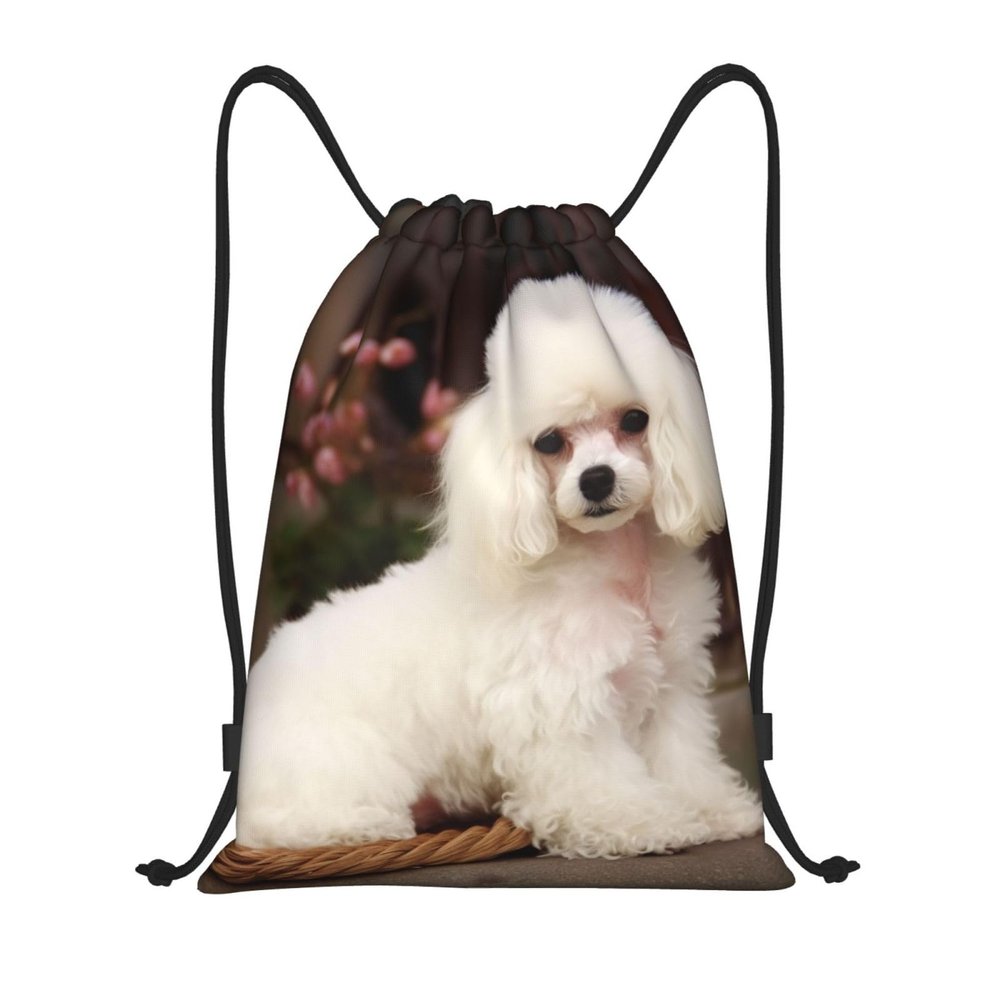 Dwrepo French Poodle Drawstring Bags for Women Men Travel Backpack Gym Bag Waterproof Draw String Back Bag, Small