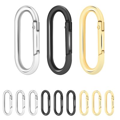 12Pack Oval Large Carabiner Clip, Metal Spring Snap Hooks Keyrings Clip for Paracord Keychain Lanyard, Car Key Rings, Pets Collar Buckles, Purse Keychain Replacement (Assorted)