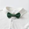 Boarnseorl Baby Boys Gentleman Outfits Pants Sets,Infant Shirt + Pants + Bow Tie + Vest,6-9M view 3