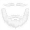 Fake Mustache Set Fake Beard Material Mustaches for Costume and Halloween Festival Party (WhiteMustache and Eyebrow) view 1