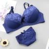Lingerie for Women US Size 2 Piece Lace Underwear Bra and Panty Set Push up Sexy Bra Set Ladies Comfortable Bralette view 4