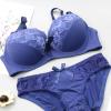 Lingerie for Women US Size 2 Piece Lace Underwear Bra and Panty Set Push up Sexy Bra Set Ladies Comfortable Bralette view 3