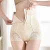 NineFit Basics Women's Slimming Body Shaper Panties Comfortable Lace Underwear Tummy Control Panties High Waisted Corset Shapewear, Medium, A02_beige view 2