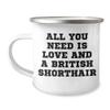 All You Need Is Love and a British Shorthair Cat | Funny Camping Mug with Enamel Finish | Cute Father's Day Unique Gifts for British Shorthair Cat Lovers view 1