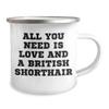 All You Need Is Love and a British Shorthair Cat | Funny Camping Mug with Enamel Finish | Cute Father's Day Unique Gifts for British Shorthair Cat Lovers view 2