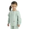 Carhartt Baby Girls' Long-Sleeve Half-Zip Hooded Sweatshirt, Surf Spray Green, 4T view 2