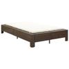 HEFZGDB 2-Person Sunbed with Cushion Brown Poly Rattan Outdoor daybed Camping cot Patio daybed Suitable for Decks, patios and Poolside. view 2