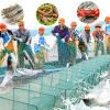 CINGHI LUSSO Foldable Crab Trap Crayfish Trap Crab Trap Fishing Device Integrated Fishing Trap Multiple Entrances Used for Catching Shrimp Crayfish Crabs and Fish (18m) view 3