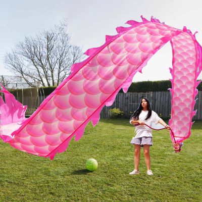 CMYUN Dragon Poi Outdoor Ribbon Dragon Poi Colorful, Dragon Scale Design Gym Dance Ribbon with Head, Juggling Spinning Dance Flag/Exercise Streamer for Park Party(Color:Pink,Size:Length - 6m/19.5ft)