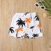 AMIMOJY Toddler Baby Boys Hawaiian Summer Clothes Beach Sleeveless Vest Top Coconut Tree Prints Tops Shorts 2Pcs Outfits Set, 18-24M, Blue view 3