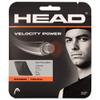 HEAD Velocity MLT Power Tennis String Set (Black, 16g-1.30mm) view 1