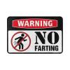 PLOWS Cool Room Accessories for Teens Boys No Farting Warning Rug Desk Accessories for Men Doormat Rug(Size:65X90CM) view 2
