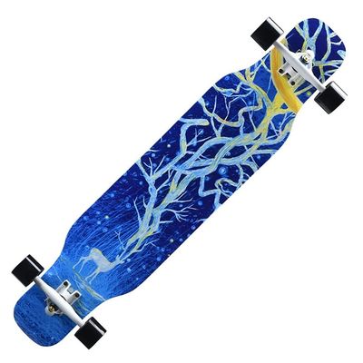 KITCISSL Longboard 42 Inches Long Boards Skateboard for Boys Girls Beginners, Kids and Adult Skateboard Cruiser 7 Layer Maple Deck Skateboards for Extreme Sports and Outdoors(Color:Style G)