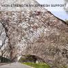 Suwooy Camouflage Netting Military,Camouflage Shade Net 1m 2m 2.5m 3m 4m 5m 6m 7m 8m 9m 10m,Car Cover,Sunscreen Camo Netting,for Camping Hunting Hide Army Party Decoration,Desert-3x10m(9.8x32.8ft) view 4