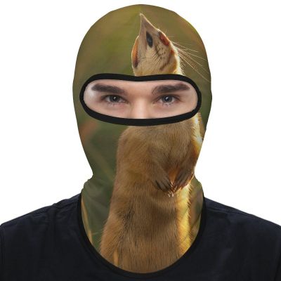 Balaclava Face Mask for Men Women Stand on Hind Legs Full Mask for Outdoor Sport Cycling Fishing Cap