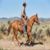 CHALLENGER Horse Western Saddle Turquoise Aluminium Bell Engraved Cut-Out Stirrups 51146TR view 4