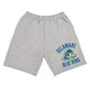 Campus Lab University of Delaware Officially Licensed Apparel - Arched Text Mens Sweat Shorts, Athletic Heather, Large view 1
