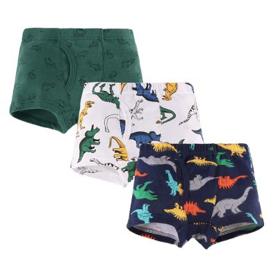 NineFit Basics 3 Pack Cotton Boys Dinosaur Briefs Toddler Boxer Briefs Toddler Underwear for Boys Boxers Kids Trunks (Green, 2-3 Years)