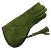 MEDENTRA Falconry Gloves Nubuck Leather Eagle Hunting Birds Hawk Green 14" Long Cuff view 4