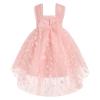 Toddler 3D Flower Tulle Tutu Dress Baby Girls Sleeveless Flower Birthday High Low Christening Formal Pageant Wedding Princess Party Dresses Cake Smash Outfit for Photo Shoot Pink Floral 18-24 Months view 2