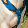 Cheval's International Western Mohair Horse Breast Collar Premium Wool Handmade Equestrian Tack Breast Collar for Horse - Multicolor Design 1, Full view 3